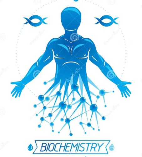 Enhanced Biochemistry Profile