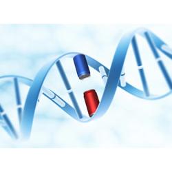 DetoxiGenomic® DNA Profile