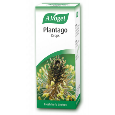 Plantago Tincture 50ml