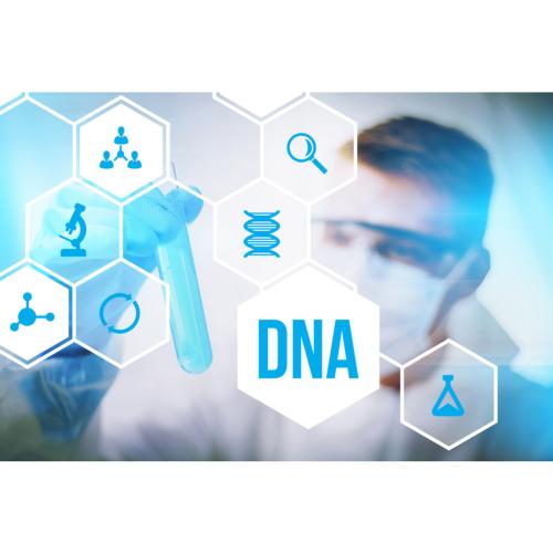 Genetics and DNA Screening
