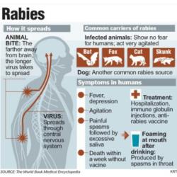 Rabies Vaccine 