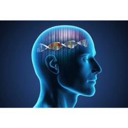 NeuroGenomic™ DNA Profile