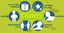 Cholera (oral) Vaccine (DUKORAL)