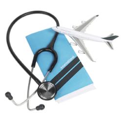 Travel Health Consultation 