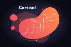 Cortisol Blood Test