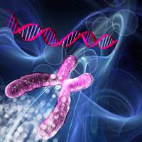 ImmunoGenomic® DNA Profile