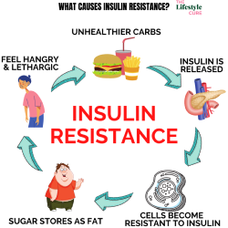 Insulin Resistance (Requires Fasting)