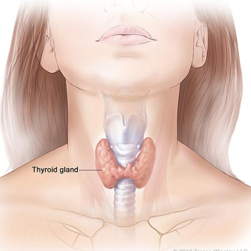 Full Thyroid Profile
