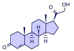 Dehydroepiandrosterone (DHEA) - Urine Test
