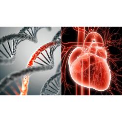CardioGenomic Plus™  DNA Profile